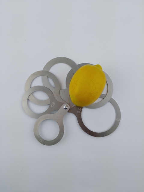 Lemon sizer 7 rings diameter from 48 to 79 mm