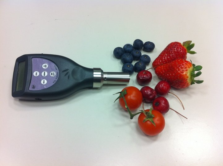 Hardness tester for Blueberries