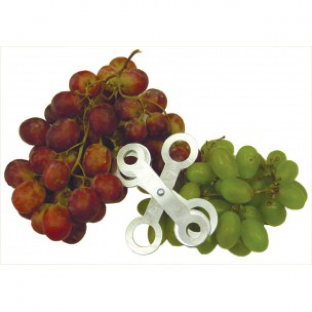 Table grape and small fruit sizer